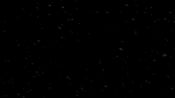 Jemný Sníh Černém Pozadí Klidné Zimní Prostředí — Stock video