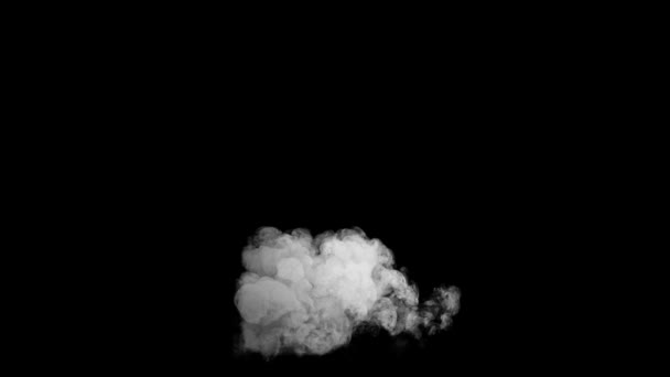 Dichter Weißer Rauch Auf Schwarzem Hintergrund Rätselhaft Und Fesselnd — Stockvideo