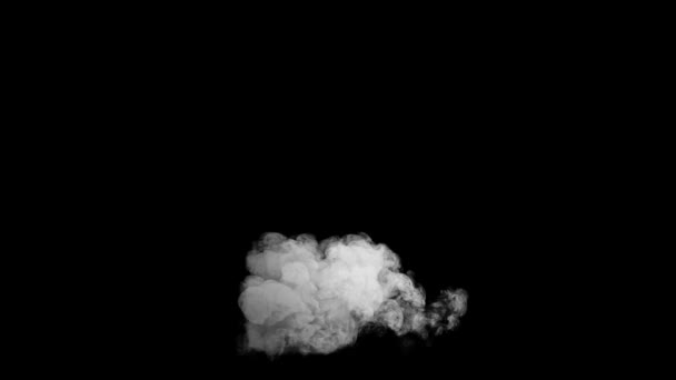Dichter Weißer Rauch Auf Schwarzem Hintergrund Rätselhaft Und Fesselnd — Stockvideo