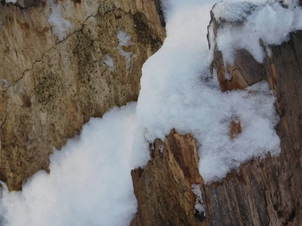 stock image A magical stump in a pile of snow, a snowy landscape, the beauty of nature