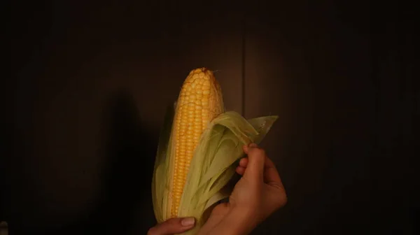 Ferskhøstet Maiskolber Spiseferdige Mais Med Brun Trebakgrunn – stockfoto