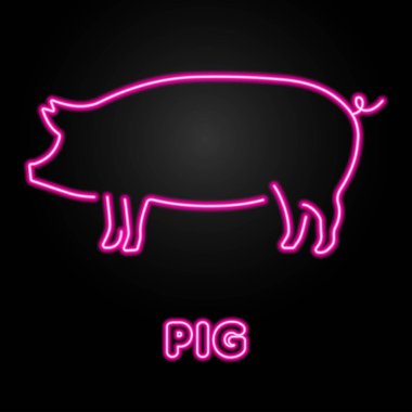 pig neon sign, modern glowing banner design, colorful modern design trends on black background. Vector illustration.