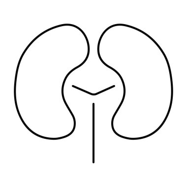 Beyaz arkaplanda böbrek simgesi, vektör illüstrasyonu.