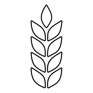 Beyaz arkaplanda izole buğday simgesi, vektör illüstrasyonu.