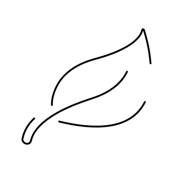 Значок Листя Білому Фоні Векторні Ілюстрації — стоковий вектор