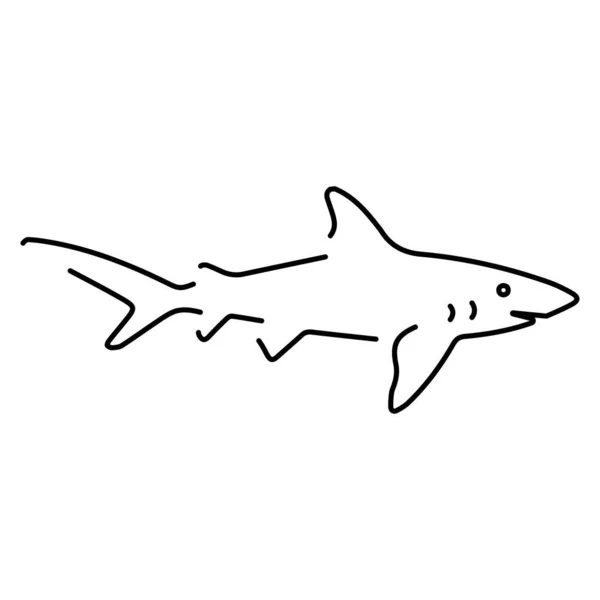 Shark Icon Isolated White Background Vector Illustration — Stock Vector