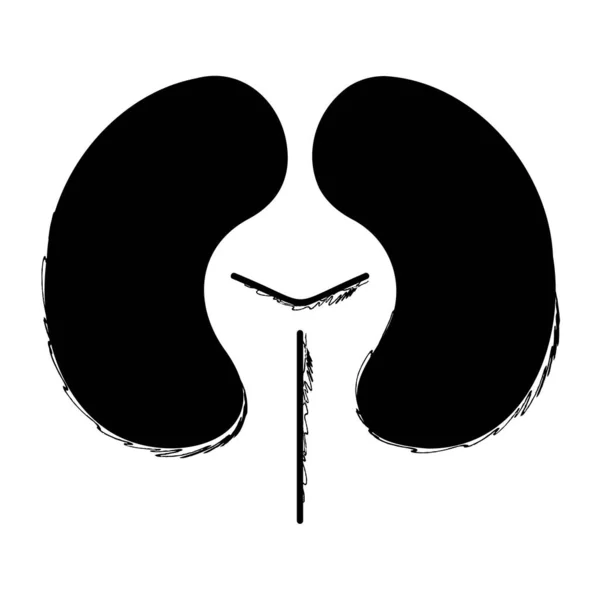 Νεφρά Βούρτσα Λευκό Φόντο Διανυσματική Απεικόνιση — Διανυσματικό Αρχείο