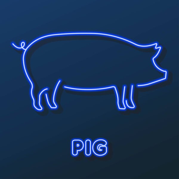 pig neon sign, modern glowing banner design.