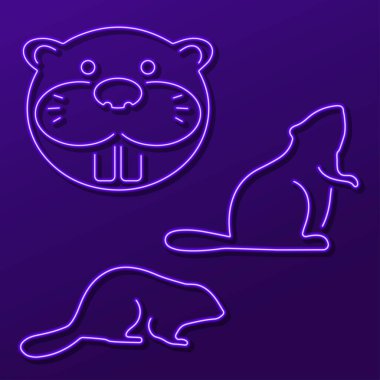 Kunduz grubu neon simgeleri, vektör illüstrasyonu.