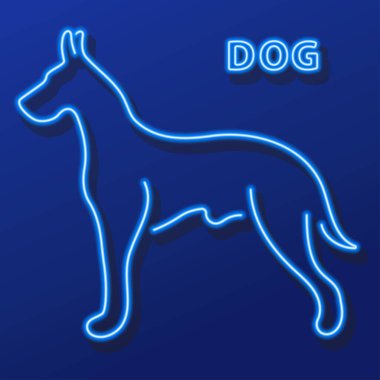 Köpek neon işareti, modern parlayan pankart tasarımı, renkli modern tasarım trendi. Vektör illüstrasyonu.