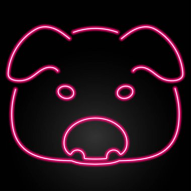 Domuz neon işareti, modern parlayan pankart tasarımı, renkli modern tasarım trendi. Vektör illüstrasyonu.