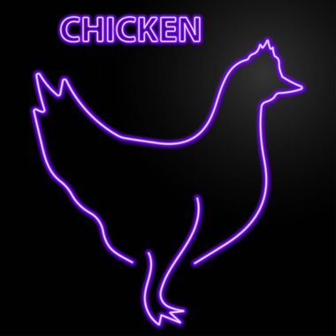 Tavuk neon levhası, modern parlayan pankart tasarımı, renkli modern tasarım trendi. Vektör illüstrasyonu.