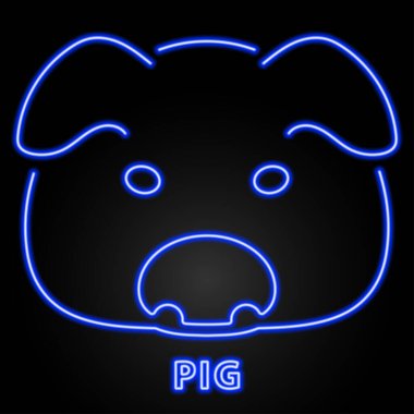 Domuz neon işareti, modern parlayan pankart tasarımı, renkli modern tasarım trendi. Vektör illüstrasyonu.