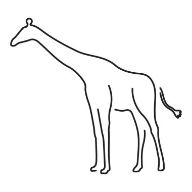 Beyaz arkaplanda izole edilmiş zürafa simgesi, vektör illüstrasyonu.