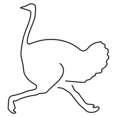 Beyaz arkaplanda devekuşu simgesi izole edildi, vektör illüstrasyonu.