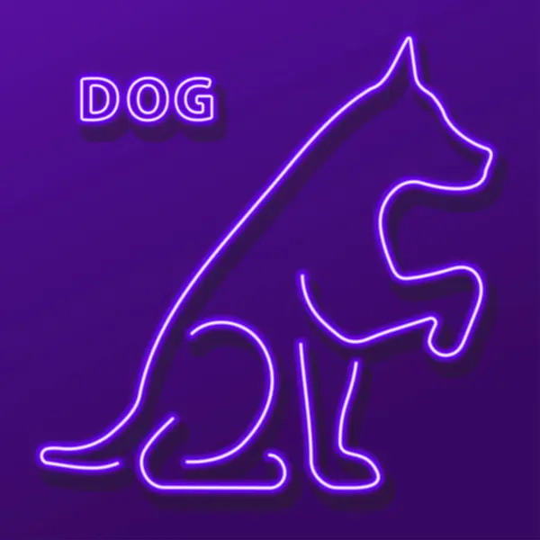 Köpek neon işareti, modern parlayan pankart tasarımı, renkli modern tasarım trendi. Vektör illüstrasyonu.