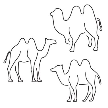 Beyaz arka planda bir grup siyah deve ikonu. Vektör illüstrasyonu.