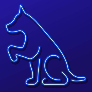 Köpek neon işareti, modern parlayan pankart tasarımı, renkli modern tasarım trendi. Vektör illüstrasyonu.