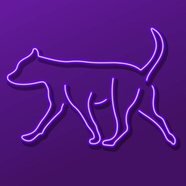 Köpek neon işareti, modern parlayan pankart tasarımı, renkli modern tasarım trendi. Vektör illüstrasyonu.