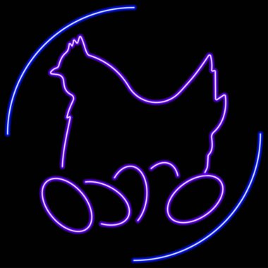 Tavuk neon levhası, modern parlayan pankart tasarımı, renkli modern tasarım trendi. Vektör illüstrasyonu.