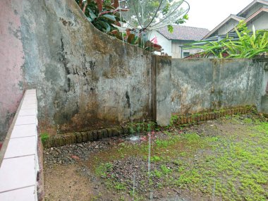 Yabani otların büyümeye başladığı eski bir çitin durumu