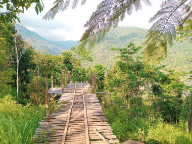 Hasarlı bambu köprüsü olan doğal bir manzara.
