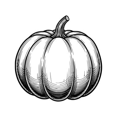 İşleme sanatıyla el yapımı bir balkabağı vektör çizimi. Cadılar Bayramı, sonbahar ve Şükran Günü tasarımları için mükemmel.