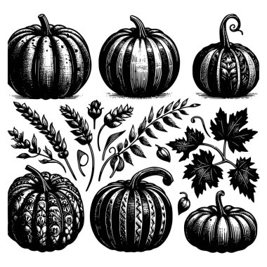 El yapımı balkabağı, yaprak ve buğday koleksiyonu. Sonbahar, Şükran Günü ve çiftlik temalı projeler için ideal