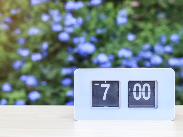 Front view of white flip clock  showing  7.00  o clock on the table in the garden with purple flowers background.