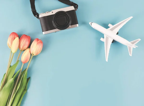 Top View Flat Lay Airplane Model Digital Camera Tulips Flowers — Stock Photo, Image