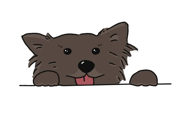 芝生のテーブルの上に登ると濃い茶色の長い髪の犬の肖像画 線画図 — ストック写真