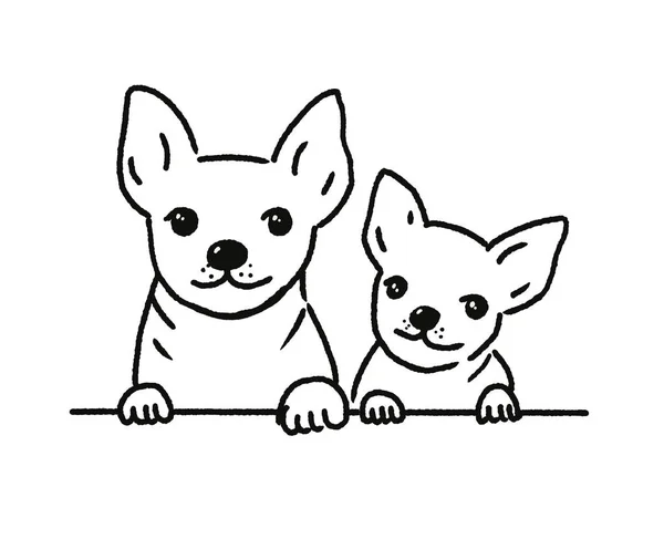 Portrait Two Chihuahua Dogs Paws Climbing Table Smiling Line Drawing — Stock Photo, Image