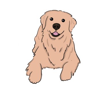 Gülümseyen Golden Retriever 'ın beyaz arka planda yatan portresi, çizgi film karakteri çizimi