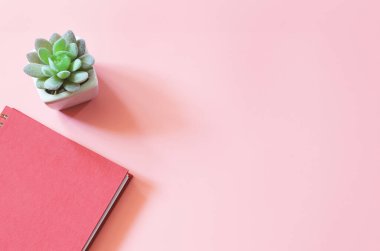 Fotokopi alanı olan pembe arkaplan üzerinde sulu bitki saksısı bulunan kırmızı günlük veya planlayıcının üst görünümü. 