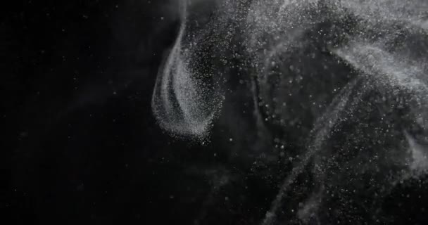 Органическая Система Частиц Пыли Черном Экране Накладывается Снято Красную Камеру — стоковое видео