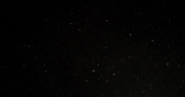 Siyah Ekrandaki Parçacıklar Red Kamerayla Çekildi Yüksek Kalite Görüntü — Stok video