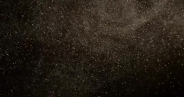 Sistema Partículas Polvo Caliente Movimiento Pantalla Negra Filmado Con Cámara — Vídeo de stock