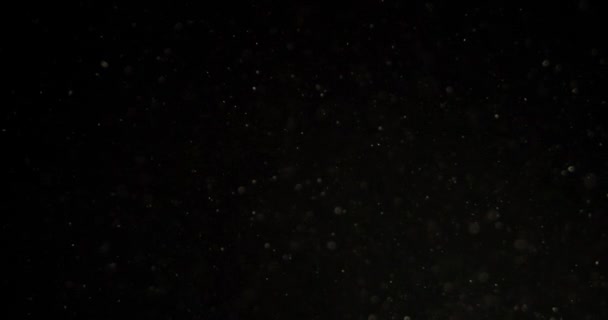 黒い画面で動作中の塵粒子 Redカメラで撮影 高品質4K映像 — ストック動画