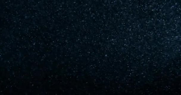 Atmósfera Partículas Polvo Superposición Pantalla Negra Filmado Con Cámara Red — Vídeos de Stock