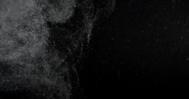 Polvo Partículas Movimiento Pantalla Negra Filmado Con Cámara Red Imágenes — Vídeo de stock