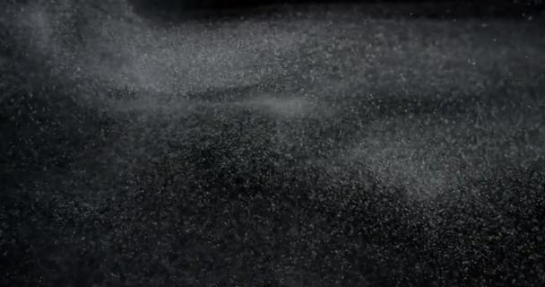 Sistema Nubes Orgánicas Partículas Polvo Superposición Pantalla Negra Filmado Con — Vídeo de stock
