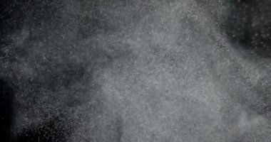 Organik Toz Parçacıkları Sistemi Siyah Ekran 'da Yüzüyor. Yavaş çekim arkaplan. Kırmızı kamera. Yüksek kalite 4k görüntü