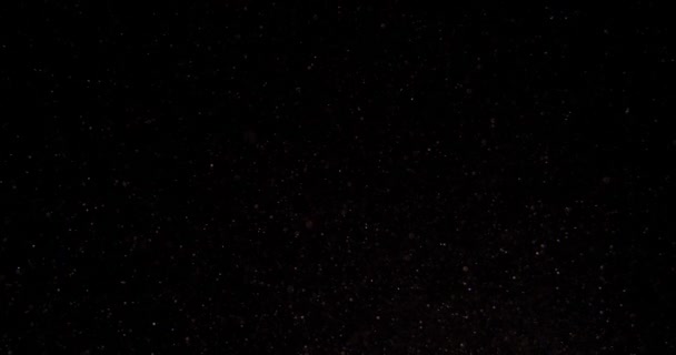 Cinematische Paarse Stofdeeltjes Zwevend Zwarte Achtergrond Slow Motion Atmosfeer Bedekt — Stockvideo