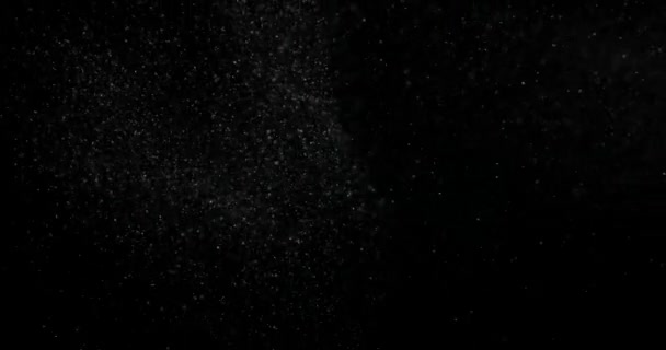 Particules Poussière Cinématiques Sur Écran Noir Superposé Filmé Avec Une — Video