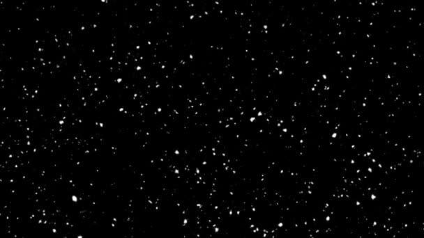 Schneedecke Auf Schwarzem Hintergrund Winternacht Schneeflocken Fallen Langsam Wirkung Hochwertiges — Stockvideo