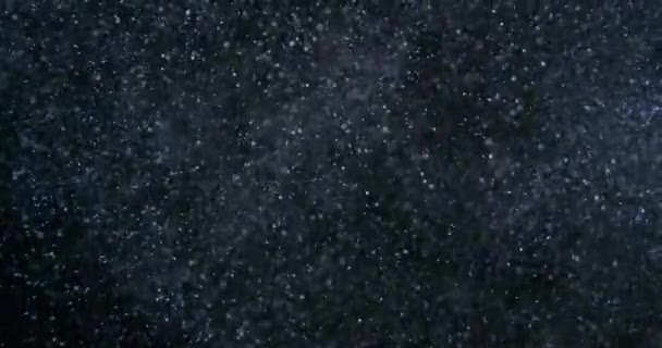 Partículas Polvo Futuristas Superposición Pantalla Negra Filmado Con Cámara Red — Vídeo de stock