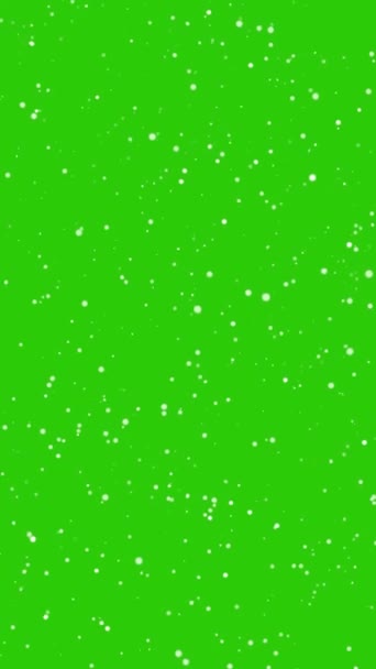 Snö Overlay Grön Skärm Vinter Natt Snöflingor Långsamt Fallande Effekt — Stockvideo