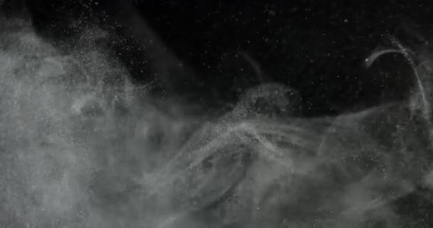 Οργανικό Νέφος Σωματιδίων Σκόνης Που Επιπλέει Στη Μαύρη Επικάλυψη Οθόνης — Αρχείο Βίντεο