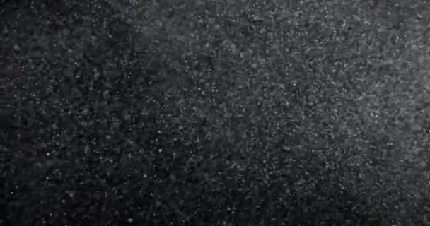 Partículas Polvo Atmosférico Ambiente Superposición Pantalla Negra Filmado Con Cámara — Vídeos de Stock
