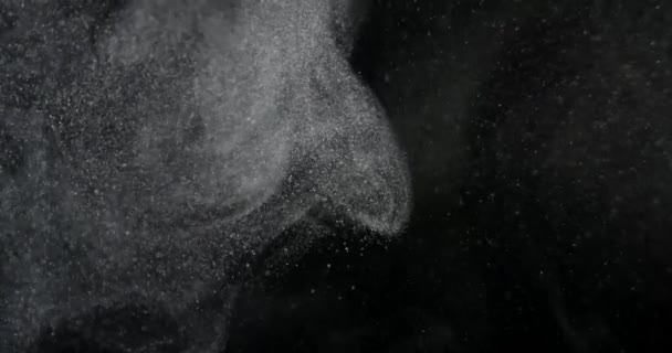 Частицы Пыли Муки Мусора Летающие Черном Фоне Съемка Камеры Замедленной — стоковое видео
